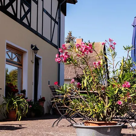 Moritz Unterm Storchennest -16303 Schwedt,schwedter Allee1 بيت ضيافة شفيدت