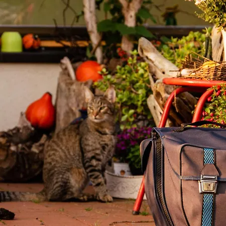 بيت ضيافة Moritz Unterm Storchennest -16303 Schwedt,schwedter Allee1