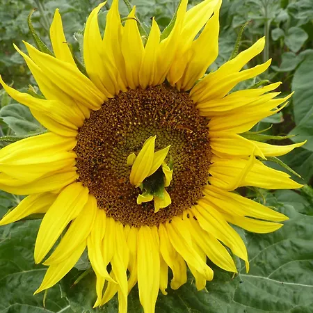 Moritz Unterm Storchennest -16303 Schwedt,schwedter Allee1