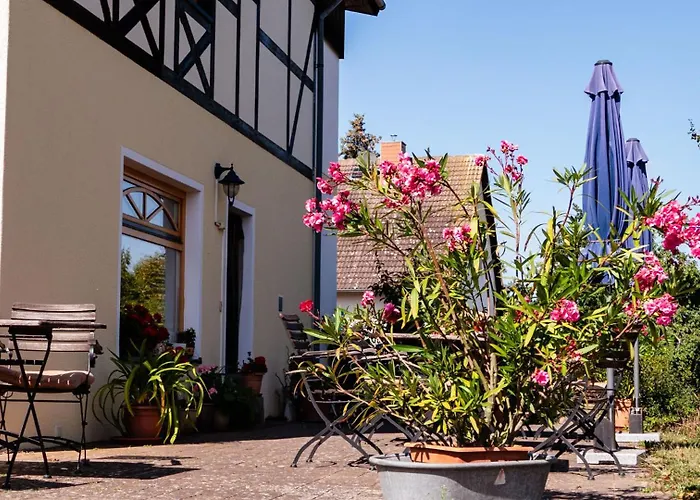 Moritz Unterm Storchennest -16303 Schwedt,schwedter Allee1 بيت ضيافة شفيدت