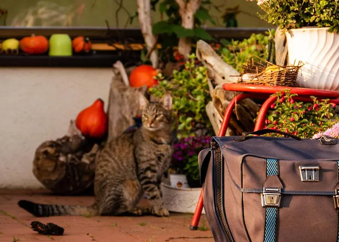 بيت ضيافة Moritz Unterm Storchennest -16303 Schwedt,schwedter Allee1