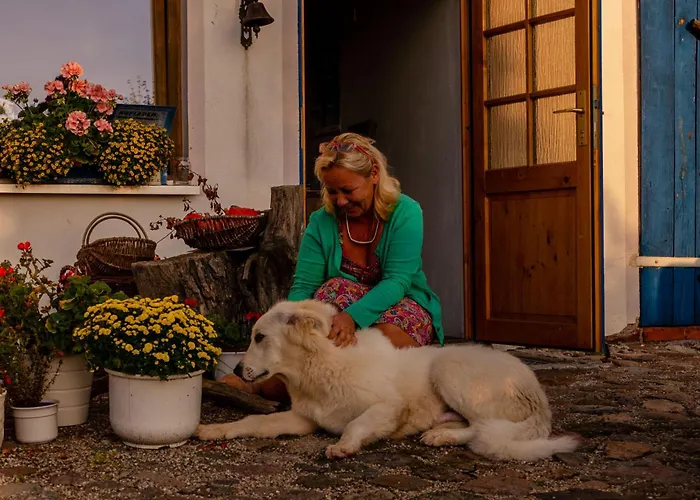 Moritz Unterm Storchennest -16303 Schwedt,schwedter Allee1 بيت ضيافة 3*