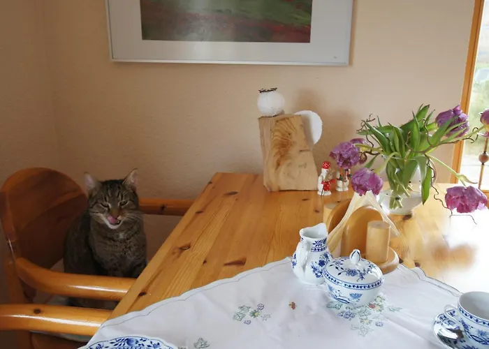 Moritz Unterm Storchennest -16303 Schwedt,schwedter Allee1 בית הארחה שוודט