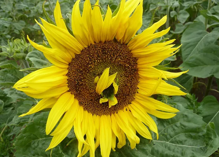 Moritz Unterm Storchennest -16303 Schwedt,schwedter Allee1